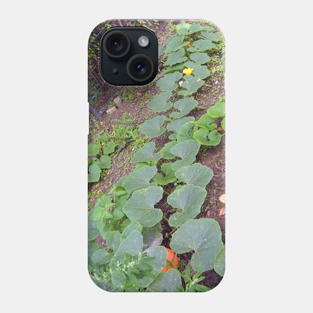 Pumpkin Blossom Foliage & Fruit Phone Case by Hajarsdeco