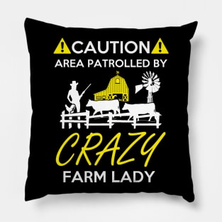 Crazy Pillow