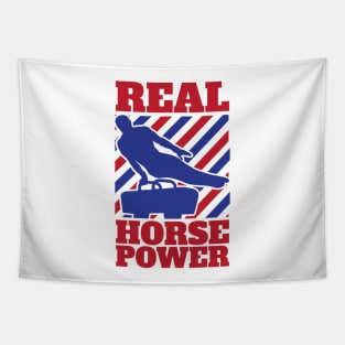 Gymnastic Pommel Horse Spinner, Male Gymnast Real Horse Power Tapestry