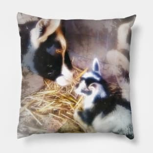 Goat love Pillow