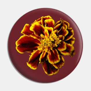 Single French Marigold Pin