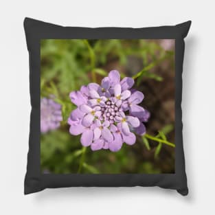 Tiny Lavender Cluster Flowers Photographic Image Pillow