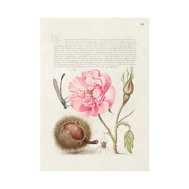 Antique 16th Century Calligraphy with Fauna and Flora by moonandcat