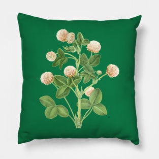 Clover Plant Illustration Pillow