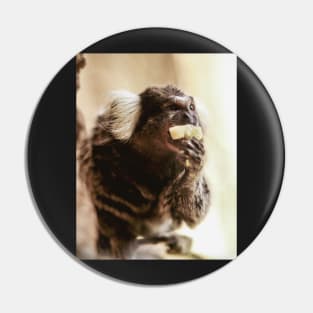 Marmoset | Unique Beautiful Travelling Home Decor | Phone Cases Stickers Wall Prints | Scottish Travel Photographer  | ZOE DARGUE PHOTOGRAPHY | Glasgow Travel Photographer Pin