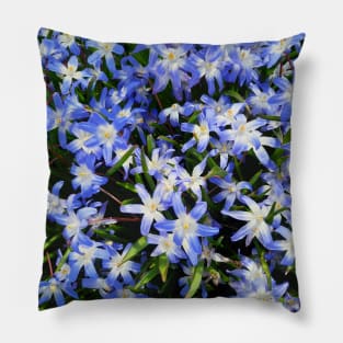 Springtime Flowers, Beautiful Blue Blooms, Gardener Pillow