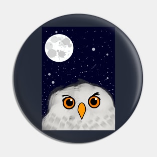 Owl in the night sky Pin