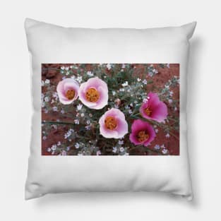 Sego Lily Group State Flower Of Utah With Bulbous Edible Root Canyonlands National Park Pillow