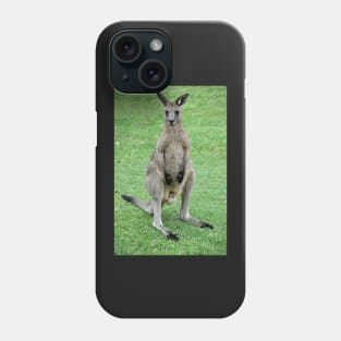 Australie - Newcastle, Kangourou Phone Case