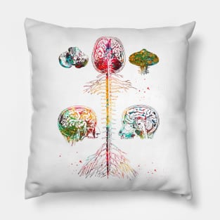 Brain and spine Pillow