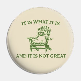 It Is What It Is And It Is Not Great Pin