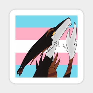 Transgender Pride Sol Magnet