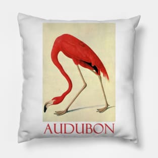 Flamingo by John James Audubon Pillow