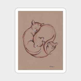 Encircle - Three Sleeping Cats in a Circle Drawing Magnet