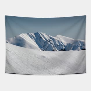 Snow on the mountainside 2 Tapestry