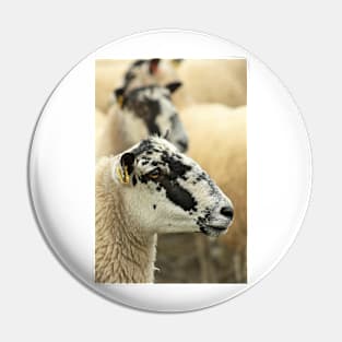 More Sheep Pin