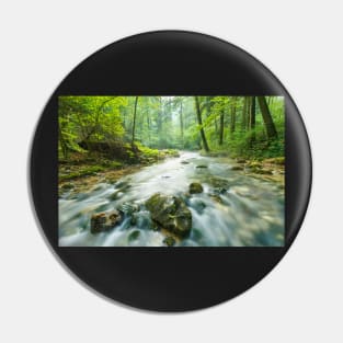 Morning landscape with river and forest Pin
