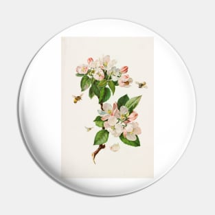 Apple Blossoms and bees - Botanical Illustration Pin