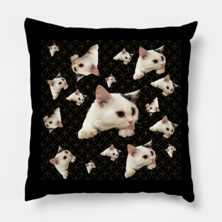 cat pattern Pillow