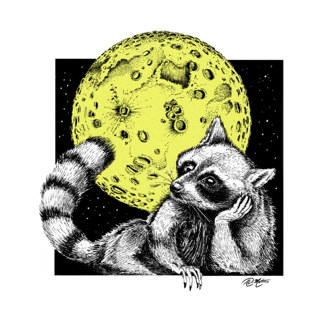 Raccoon Moon by Angelo DiMartino