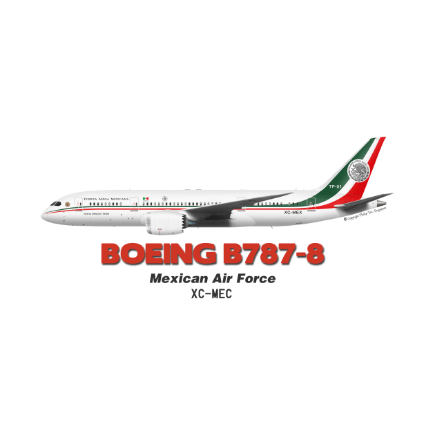 Boeing B787-8 - Mexican Air Force by TheArtofFlying