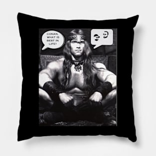 Barbarians Love The Pint Pillow