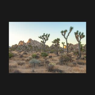 Joshua Tree Morning T-Shirt