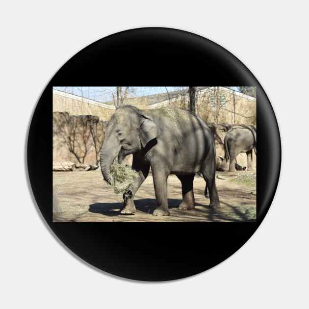 Asian Elephant Pin by MarieDarcy