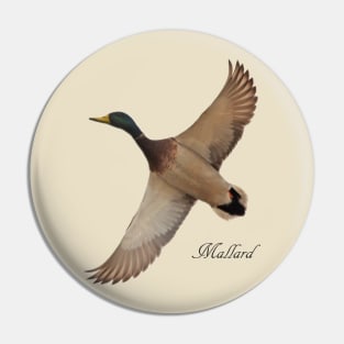 Mallard Pin