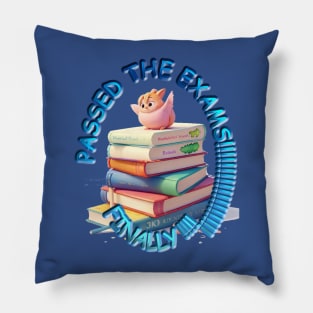 PASSED THE EXAMS Pillow