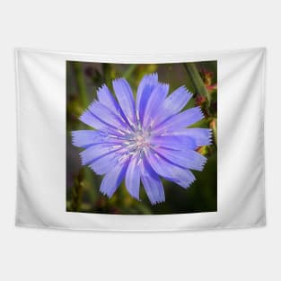 Vibrant Chicory Flower Tapestry