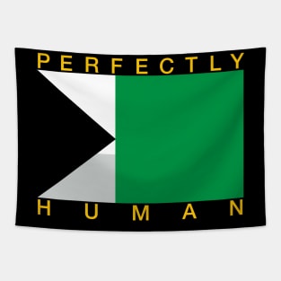 Perfectly Human - Demiromantic Pride Flag Tapestry