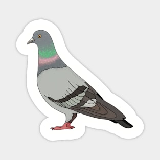 Pigeon walk Magnet