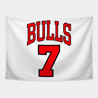 Toni Kukoc Jersey Tapestry