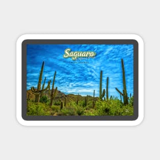 Saguaro National Park Magnet