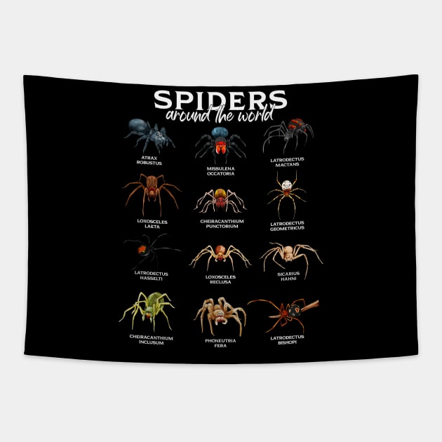 Spiders in the world - types of spiders Tapestry by Modern Medieval Design