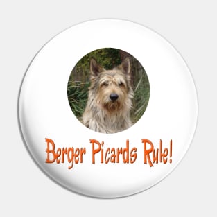 Berger Picards Rule! Pin