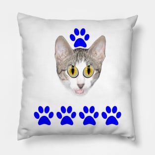 Fans of cute cat feet and eyes Pillow