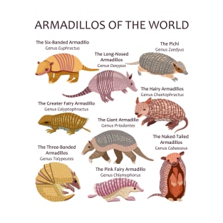 Armadillo Species of the World (light background) T-Shirt