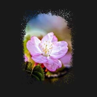 Pink Sakura Flower, Green Leaves, Colorful Background T-Shirt