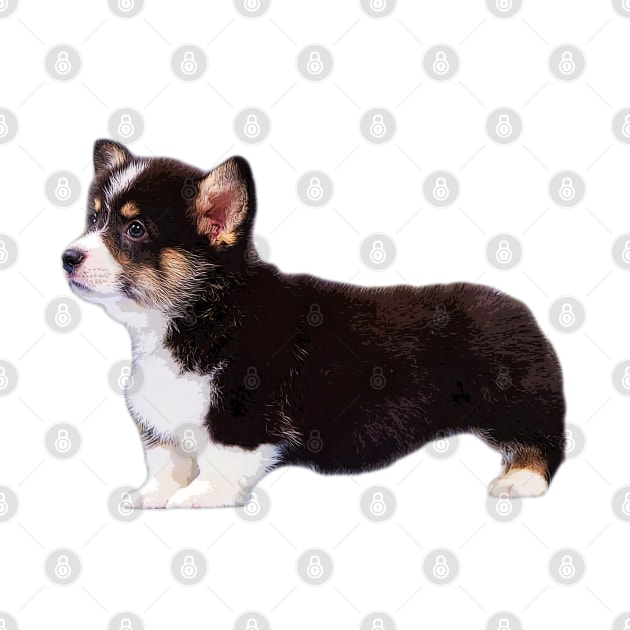 Corgi Tri Color Puppy Dog by ElegantCat