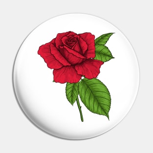 Red rose Pin