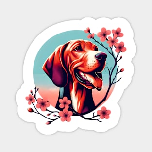 Redbone Coonhound Delights in Spring Cherry Blossoms Magnet