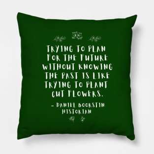 “Trying to plan for the future without knowing the past is like trying to plant cut flowers.” -- Historian Daniel Boorstin Pillow