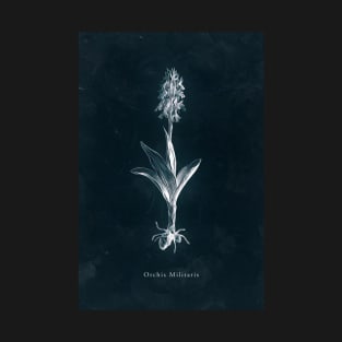 Cyanotype - Orchis Militaris T-Shirt