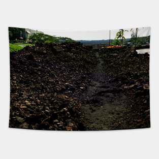 Hawaiian Lava Fields Tapestry