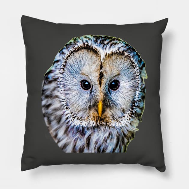 Realistic color pattern - eyes and head of an owl Pillow by Hujer