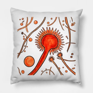 Aspergillus fungi Pillow