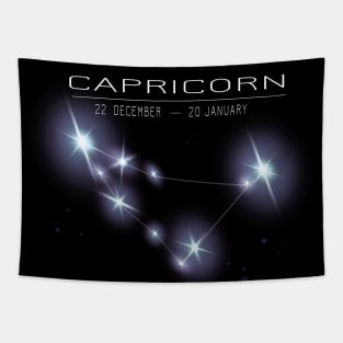 Capricorn Zodiac sign- astronomical sign - Horoscope Tapestry