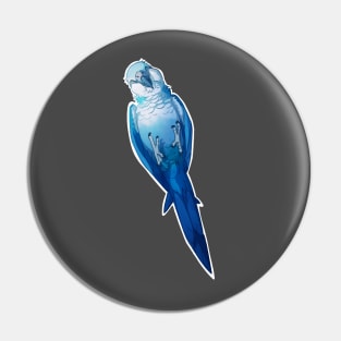 Playful Blue Spix Pin